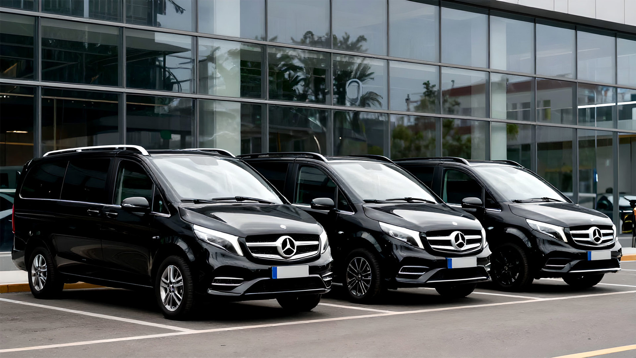Wagenpark van Primo Tours